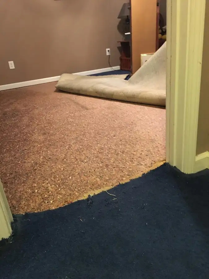 Carpet pad removal revealing water damage during Drying & Dehumidification in Solon